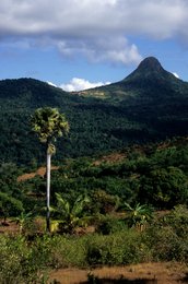 Archipel-des-Comores;-Cultures;-Forêt;-France;-Kaleidos;-Kaleidos-images;-La-parole-à-limage;-Laurent-Abad;-Mayotte;-Nuages;-Océan-Indien;-Palmier;-Paysage;-Pic;-Stories-Pictures